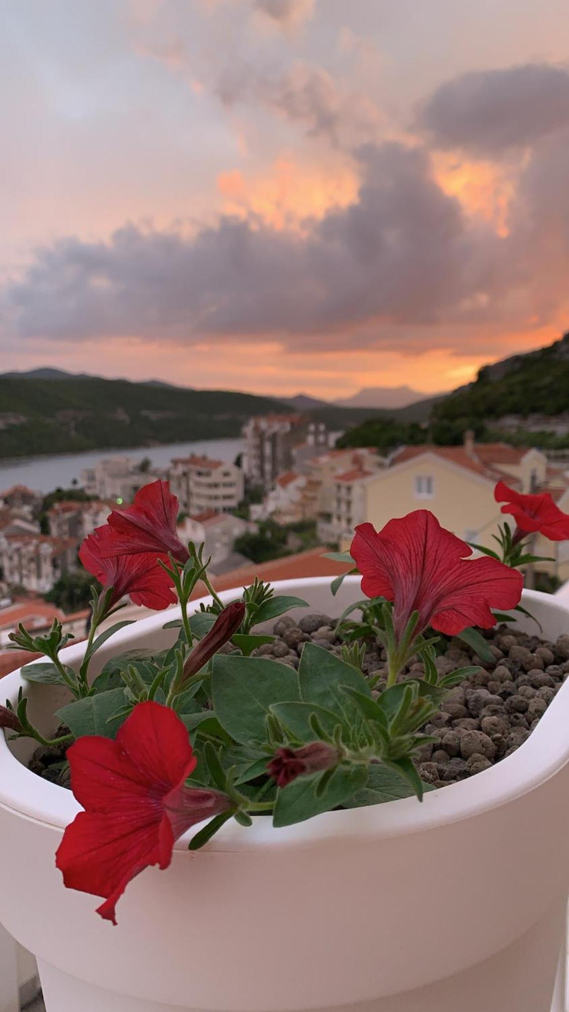 Hotel Ami-M Neum Extérieur photo